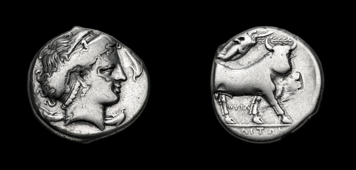 Campania Nomos (stater)